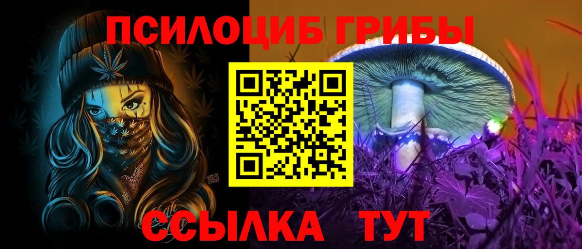 Сургут  наркота  Вход с VPN  Галлюциногенные грибы Psilocybe  Галлюциногенные грибы Magic Shrooms 
